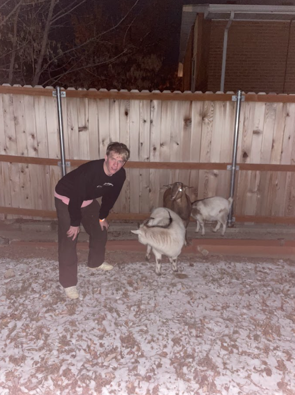 Paul With Goats